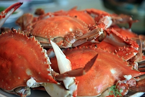 螃蟹能多吃吗？吃螃蟹对身体有好处吗？