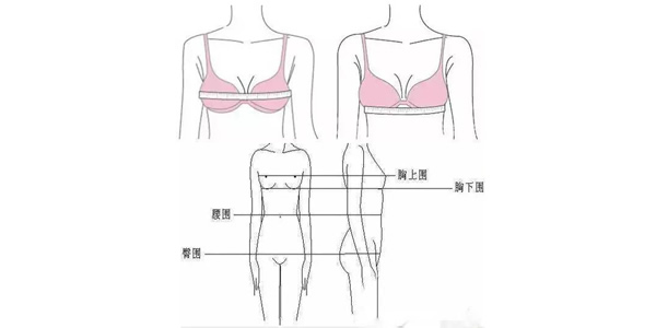 罩杯abcd怎么分大小 内衣文胸尺码对照表