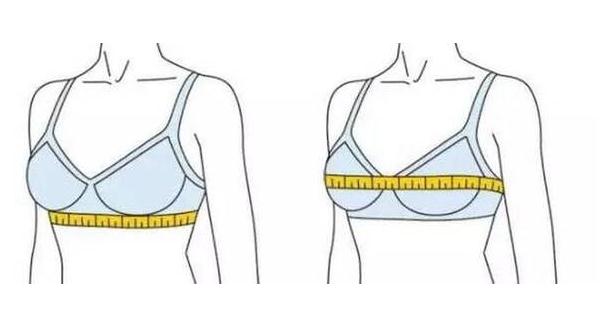 罩杯abcd怎么分大小 内衣文胸尺码对照表