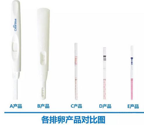 排卵期的计算方法：准确计算排卵日也是一种自我关爱