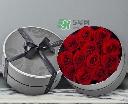 roseonly怎么读？roseonly怎么读在线读？