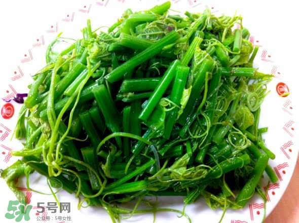 龙须菜的食用功效 龙须菜的食用禁忌