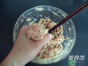 肉丸子可以用面粉吗？肉丸子用什么粉？