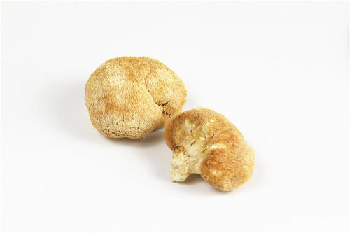 猴头菇怎么吃最养胃 猴头菇怎么泡发不苦