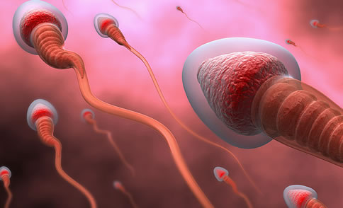 
	备孕夫妻同房后判断精子进入输卵管的方法
