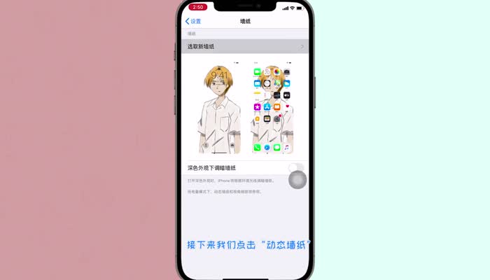 iPhone动态壁纸怎么设置声音 苹果动态壁纸声音如何设置 