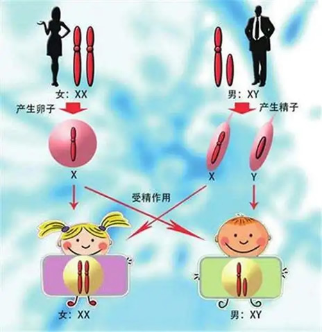 
	2022单双月看生男生女(3个参考计算方法)
