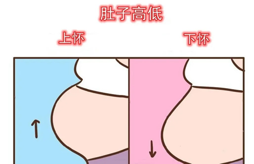 
	怀男孩肚型图片图解(宝妈怀男女孕肚图片)
