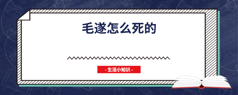 毛遂怎么死的 