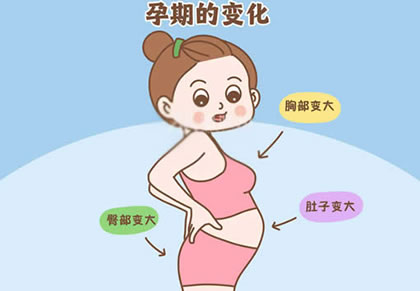 
	孕早期胸变大是不是必生女？
