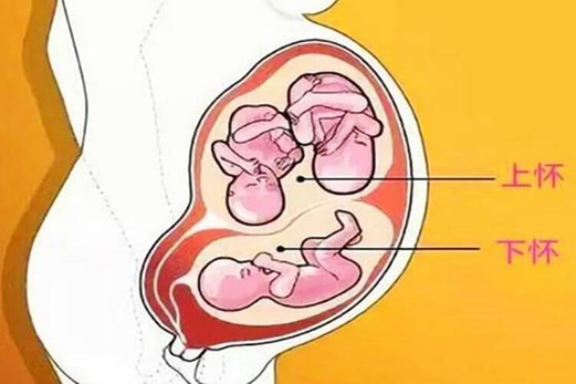 
	孕妇上怀和下怀的区别对照图

