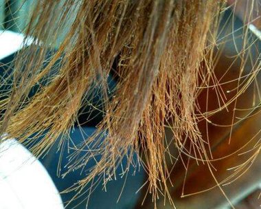 女生头发分叉用什么护发素 头发分叉女生使用护发素方法