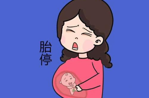 
	为什么高龄孕妇容易胎停？胎停前的暗示信号
