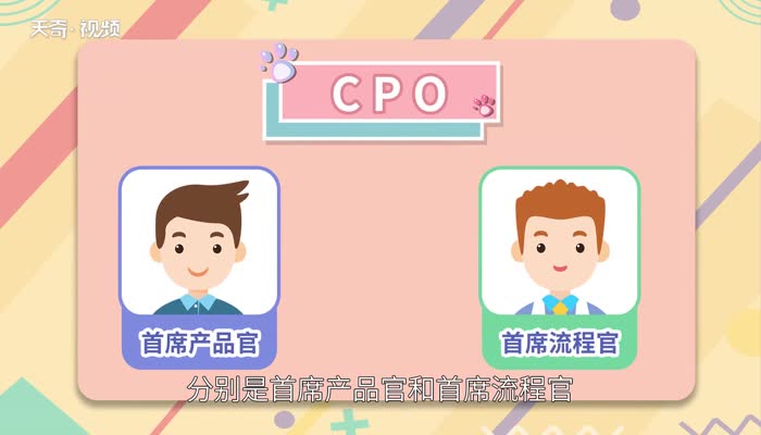 cpo是什么职位 CPO是什么意思 