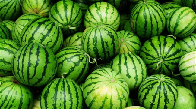 夏季吃西瓜对身体有什么好处 夏天吃西瓜可以减肥吗 