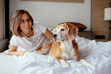 宠物狗犬瘟热怎么治疗?犬瘟热症状治疗法