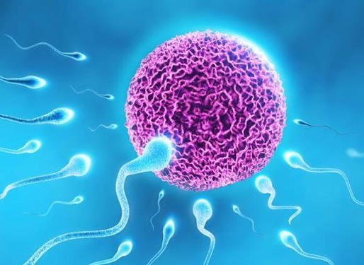 
	备孕精子擦干可以受孕吗(干了的精液能让女性怀孕吗)
