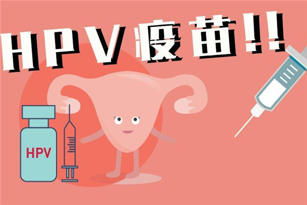 hpv疫苗是宫颈癌疫苗吗 hpv疫苗和宫颈癌疫苗有什么区别