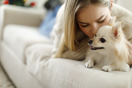 宠物得犬窝咳要注意，不要变成要狗命的肺炎