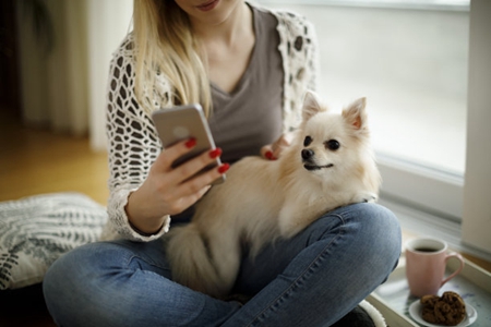 宠物得犬窝咳要注意，不要变成要狗命的肺炎