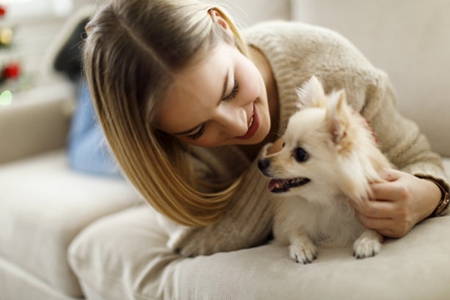 宠物得犬窝咳要注意，不要变成要狗命的肺炎