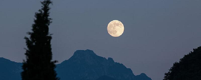 月是故乡明写了哪些地方的月亮 月是故乡明作者写了哪些月亮 