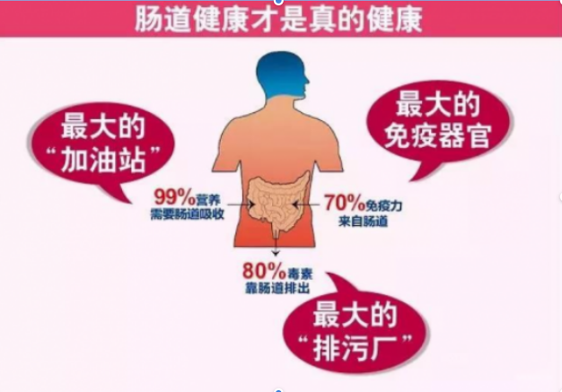 肠道脏怎么办 成人益生菌还你干净肠道