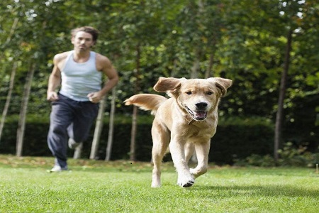 陪你一起运动快乐的狗狗们，快来看看挑选什么合适