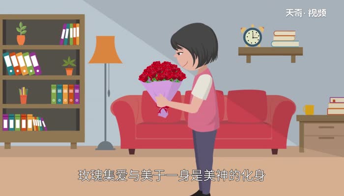 99朵玫瑰代表什么意思 香槟玫瑰的花语是什么 