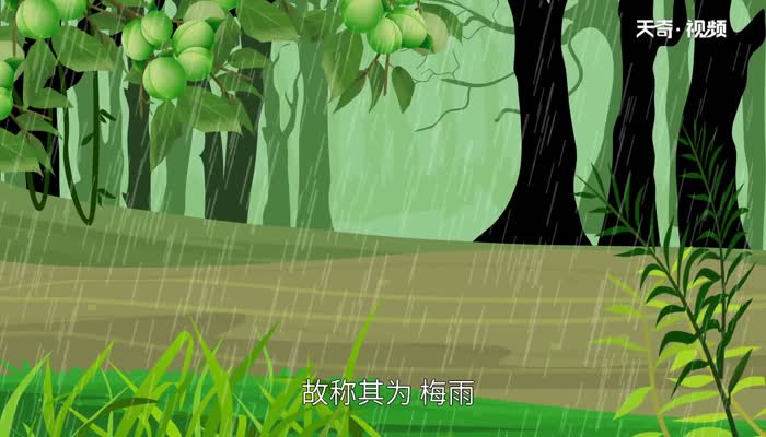 梅雨季节是几月份 梅雨季节是哪月 