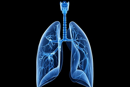 人的肺如何清洗？坚持喝这3种茶能起到清洁肺部