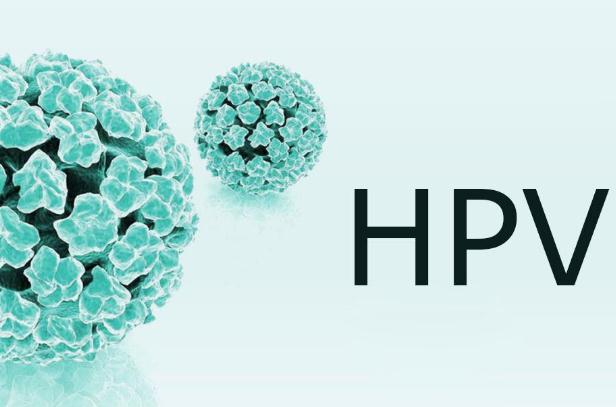 hpv疫苗有必要打吗 HPV疫苗接种后是否可以终身免疫