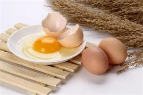 宝宝吃鸡蛋能提高智力吗