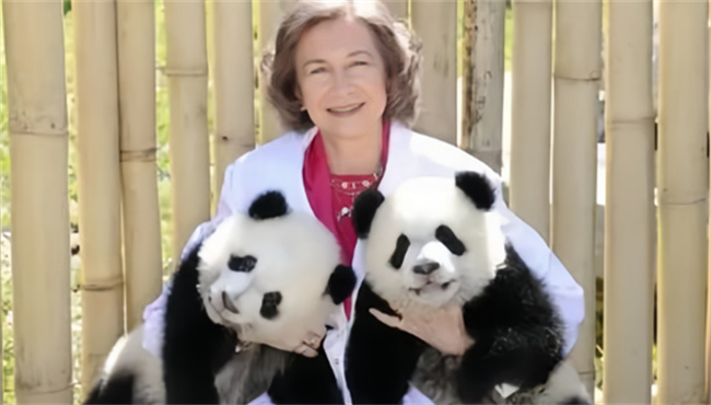 熊猫外交是什么  熊猫外交有哪些国家 