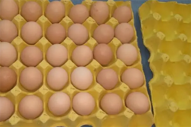 鸡蛋不能放入冰箱保存 只因含有致病菌 2个保存小技巧 