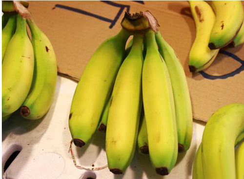 香蕉牛奶可以一起吃吗？香蕉不能和什么食物同吃中毒