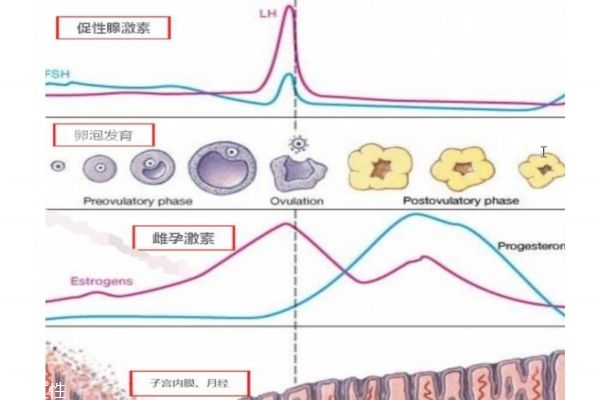 高龄如何备孕 这几点一定要注意