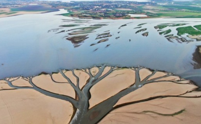 ​鄱阳湖通江水体面积已缩水近一半，会有哪些影响 