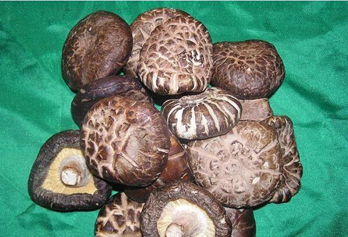 研究显示褐色洋菇有助减缓脂肪堆积
