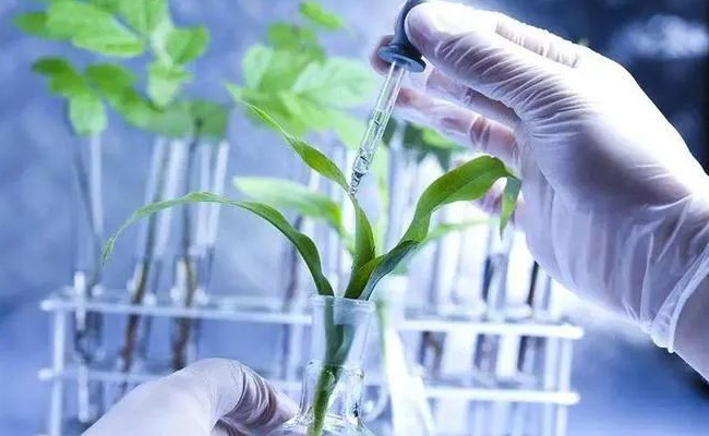 今年24种本科新专业纳入招生，生物育种技术是什么 