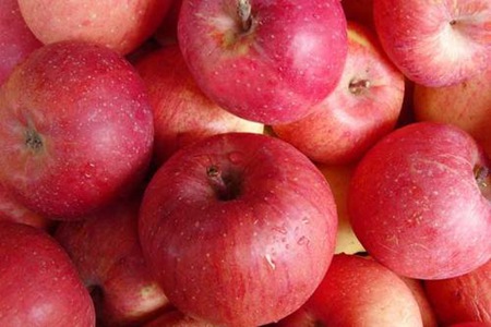 苹果减肥法三天瘦8斤，苹果减肥法把握这三个黄金点