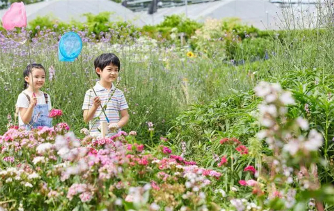 孩子制定完美的假期计划为啥没有一个能实施呢 