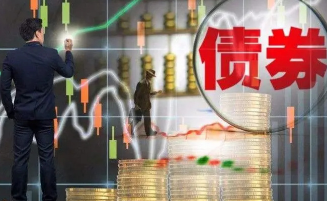 债基是什么基金  债基为什么会突然大幅度下跌 